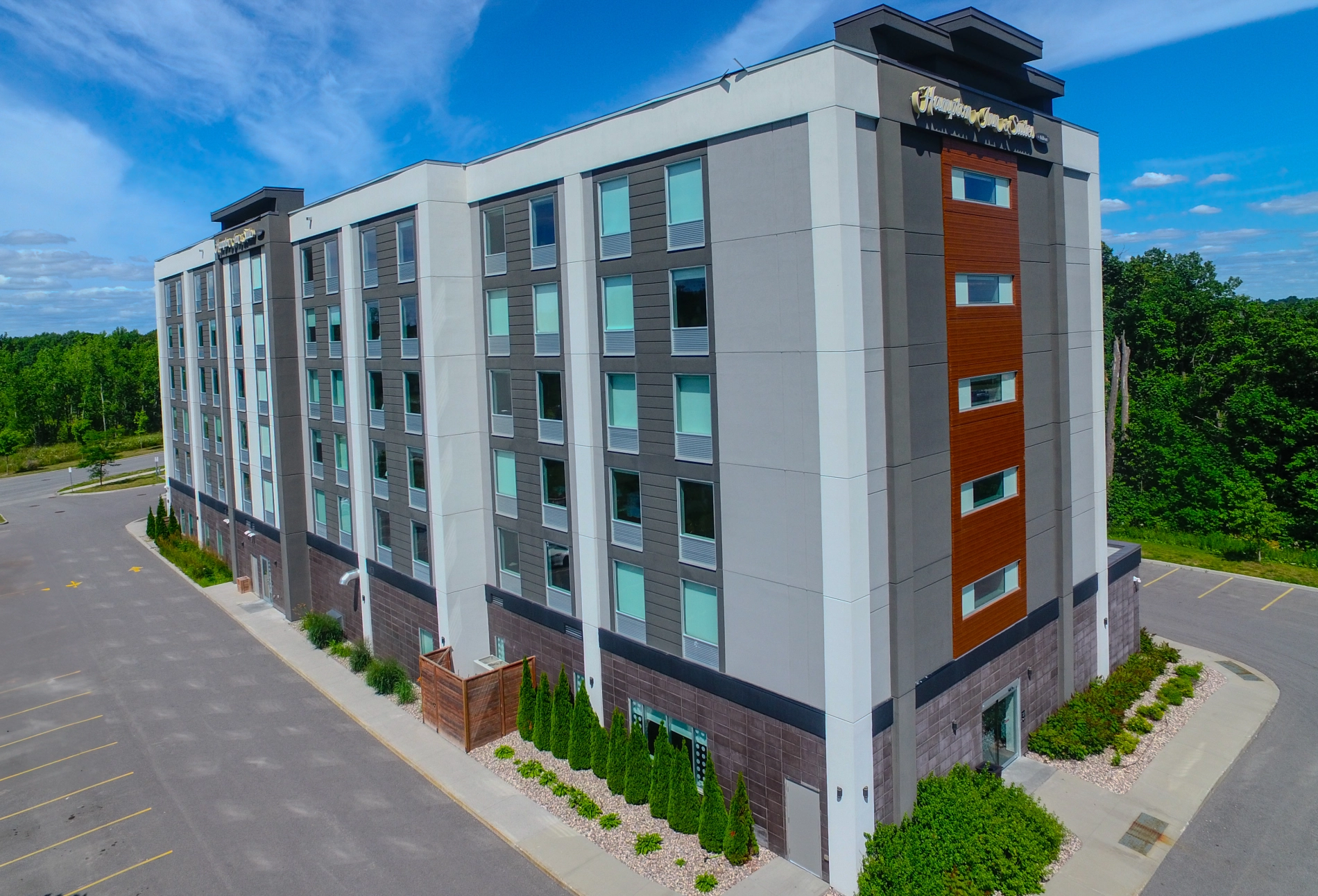 18.webp